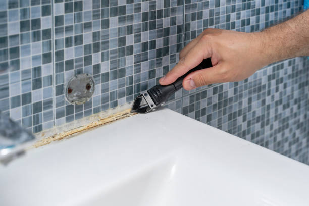 Best Same-Day Mold Removal  in Ellsworth, ME